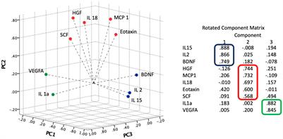 Time evolution of cytokine profiles associated with mortality in COVID-19 hospitalized patients